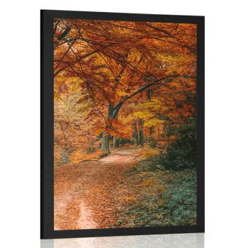 Plakat piękny las w sezonie jesiennym - 20x30 silver
