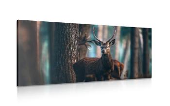 Obraz jeleń w lesie - 100x50