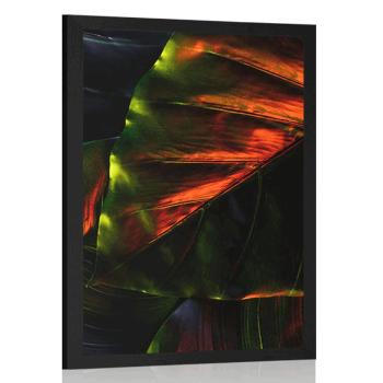 Plakat liście palm tropikalnych - 60x90 black