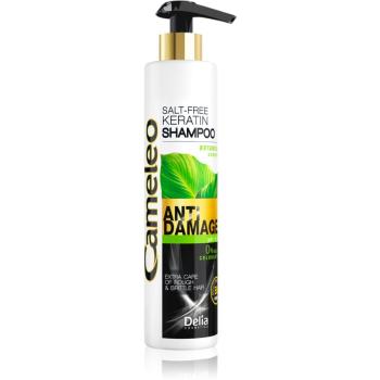 Delia Cosmetics Cameleo BB szampon keratynowy do włosów zniszczonych 250 ml