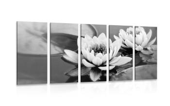 5-częściowy obraz kwiat lotosu w jeziorze w wersji czarno-białej - 200x100