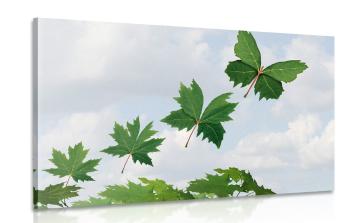Obraz liście na wietrze - 90x60