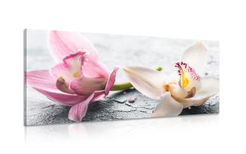 Obraz kwiaty orchidei - 100x50