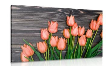 Obraz urocze pomarańczowe tulipany na drewnianym tle - 120x80