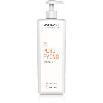 Framesi Morphosis Purifying szampon oczyszczający przeciw łupieżowi 1000 ml