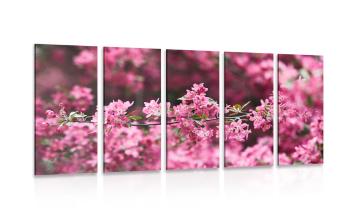 5-częściowy obraz kwiaty wiśni szczegółowo - 100x50