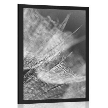 Plakat czarno-biały mniszek makro na tle - 20x30 black