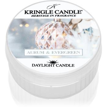 Kringle Candle Aurum & Evergreen świeczka typu tealight 42 g