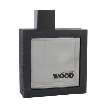 Dsquared2 He Wood Silver Wind Wood 100 ml woda toaletowa dla mężczyzn