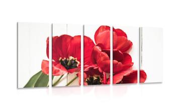 5-częściowy obraz czerwone tulipany w rozkwicie - 100x50