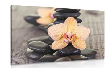 Obraz żółta orchidea i kamienie Zen - 60x40