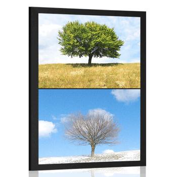 Plakat drzewo w porach roku - 40x60 white