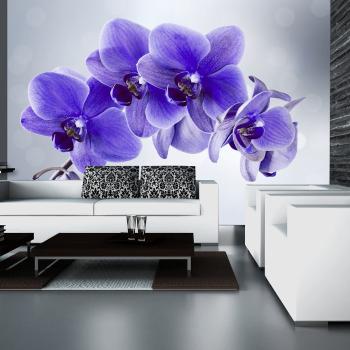 Tapeta samoprzylepna fioletowa orchidea - Godzina rozstania - 294x210