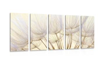 5-częściowy obraz nasiona dmuchawca - 200x100