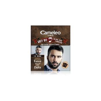 Delia Cosmetics Cameleo Men reduktor siwizny dla mężczyzn odcień 1.0 Black 2 x 15 ml