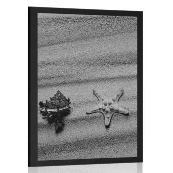 Plakat muszle na piaszczystej plaży w czerni i bieli - 40x60 silver
