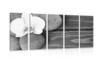 5-częściowy obraz kamienie wellness i orchidea na drewnianym tle w wersji czarno-białej