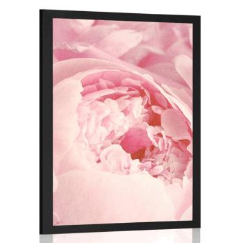 Plakat płatki kwiatów - 40x60 white