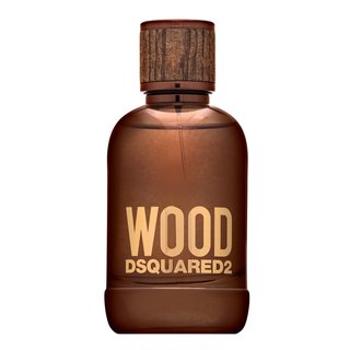 Dsquared2 Wood woda toaletowa dla mężczyzn 100 ml