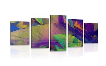 5 części obraz kolorowe liście
