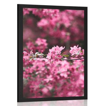 Plakat szczegółowe kwiaty wiśni - 40x60 black