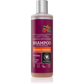 Urtekram Nordic Berries szampon do włosów 250 ml