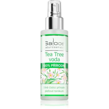Saloos Floral Water Tea Tree tonik łagodzący do twarzy 100 ml