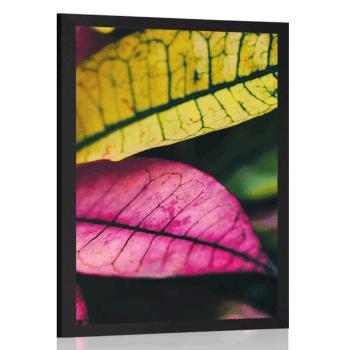 Plakat świeże liście - 40x60 white