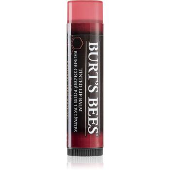 Burt’s Bees Tinted Lip Balm balsam do ust odcień Red Dahlia 4.25 g