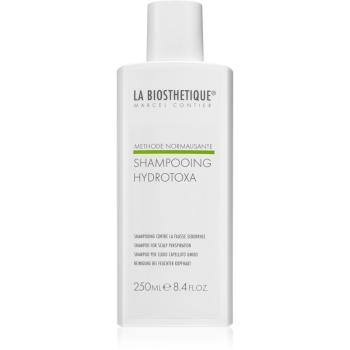La Biosthétique Methode Normalisante Shampooing Hydrotoxa szampon oczyszczający 250 ml