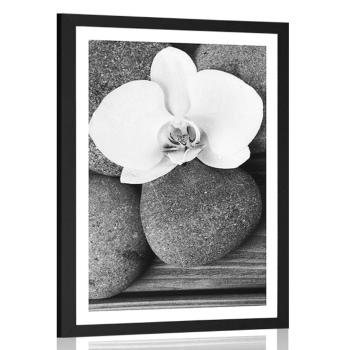 Plakat z passe-partout kamienie wellness i orchidea na drewnianym tle w czerni i bieli - 40x60 black