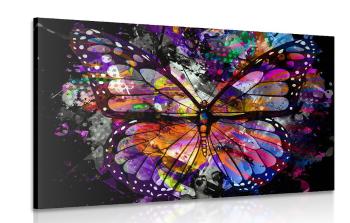 Obraz niezwykły motyl - 120x80