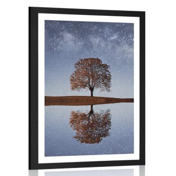 Plakat z passe-partout gwiaździste niebo nad samotnym drzewem - 30x45 silver