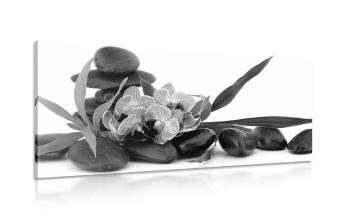 Obraz orchidea w Zen martwa natura czarno-biała