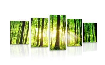 5-częściowy obraz bujny zielony las - 200x100