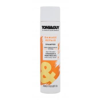 TONI&GUY Damage Repair 250 ml szampon do włosów dla kobiet