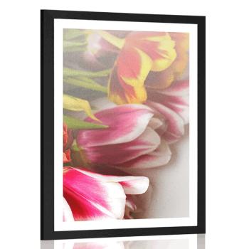 Plakat z passe-partout bukiet kolorowych tulipanów - 60x90 black