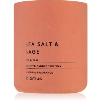 Blomus Fraga Sea Salt & Sag świeczka zapachowa 290 g