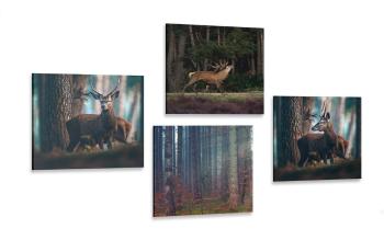 Zestaw obrazów magia zwierząt leśnych - 4x 60x60