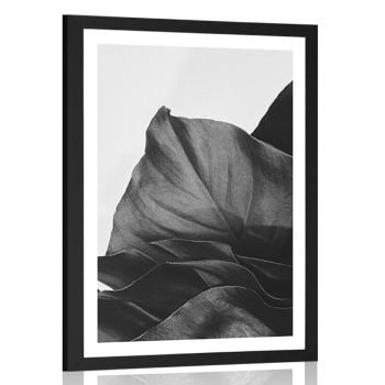 Plakat z passe-partout magiczny liść monstery w czerni i bieli - 40x60 silver