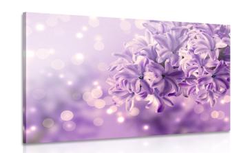 Obraz fioletowy kwiat bzu - 120x80