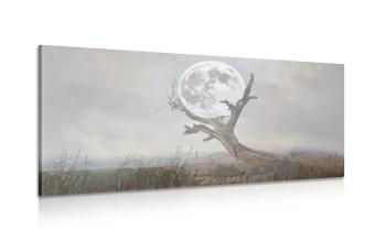 Obraz księżyca w ramionach natury - 100x50