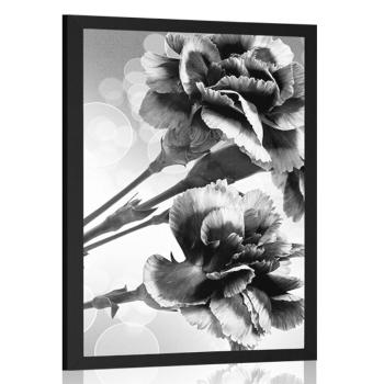 Plakat kwiat goździka w czerni i bieli - 60x90 silver