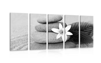5-częściowy obraz biały kwiat i kamienie w piasku w czarnobiałym kolorze