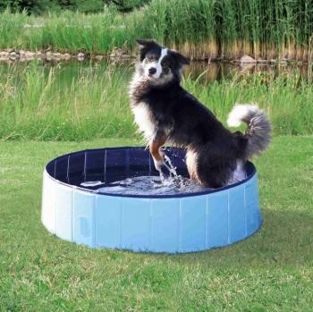 Trixie dog BASEN dla psów / niebieski - 160x30cm