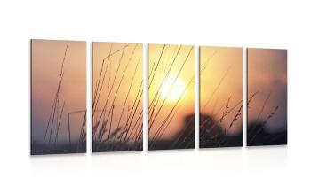 5-częściowy obraz wschód słońca nad łąką - 100x50