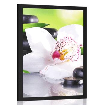 Plakat Japońska orchidea - 30x45 white