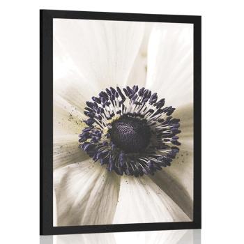 Plakat kwitnący kwiat - 30x45 silver