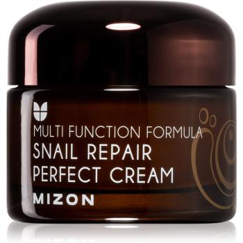 Mizon Multi Function Formula Snail krem do twarzy z ekstraktem ze śluzu z ślimaka 60% 50 ml