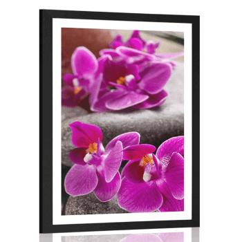 Plakat z passe-partout piękna orchidea i kamienie Zen - 60x90 white